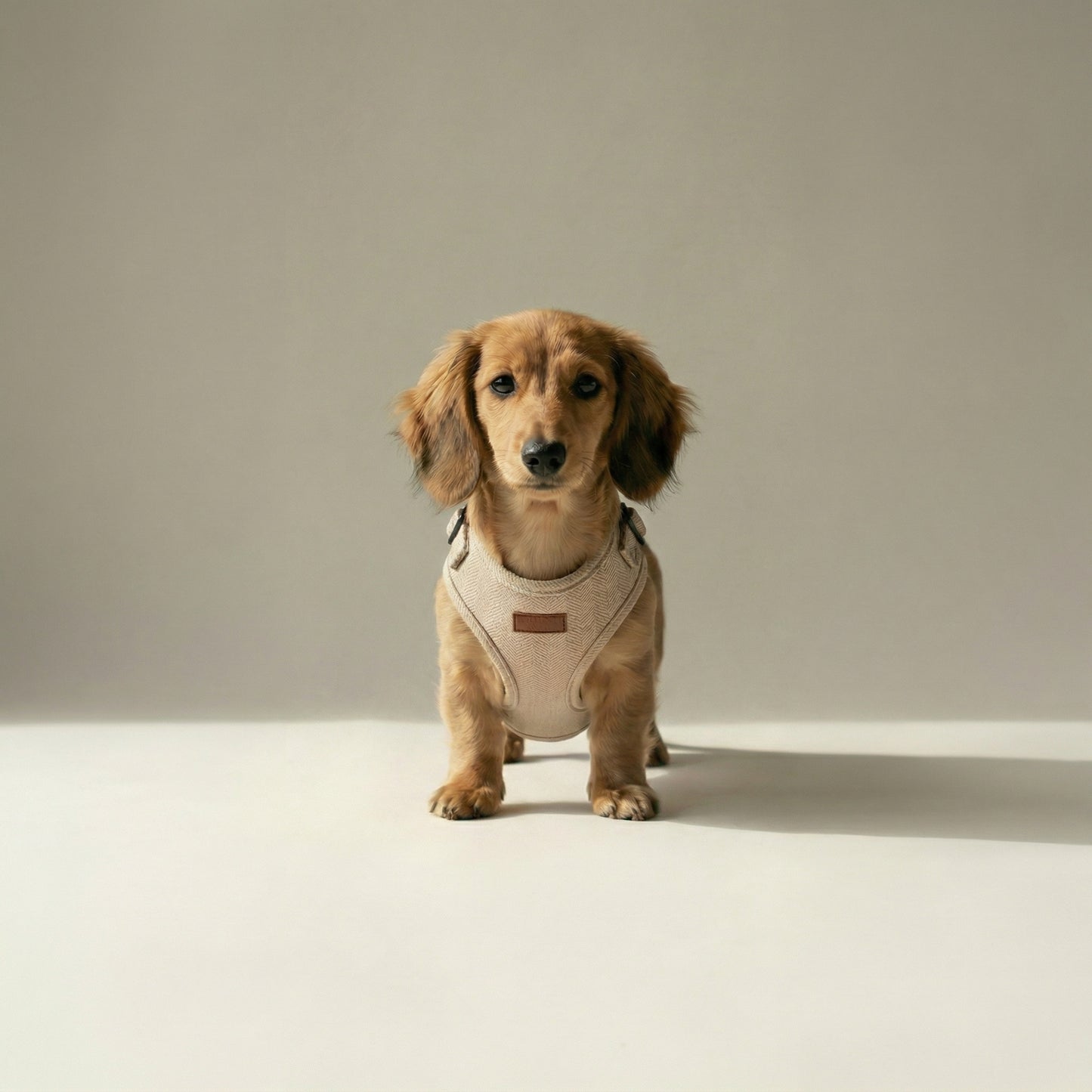 Tweed Harness